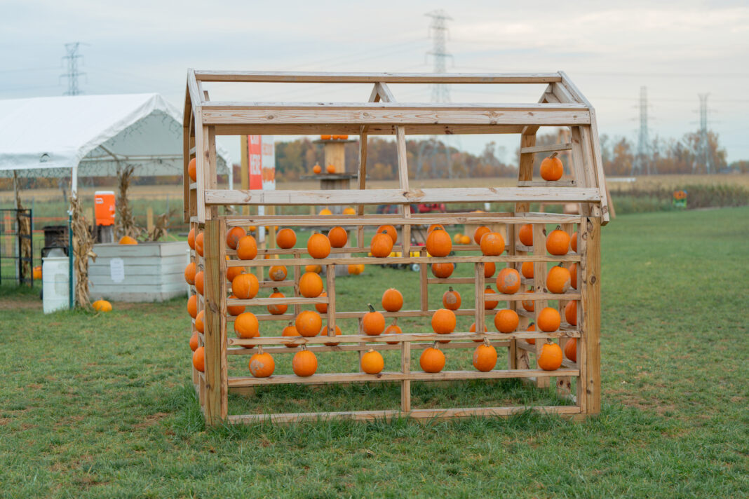 pumpkin patches near me detroit