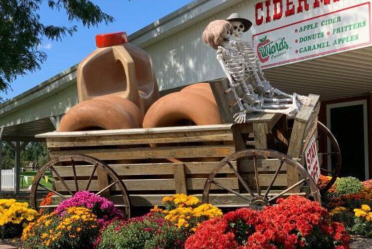 Apple Orchards Cider Mills in Metro Detroit