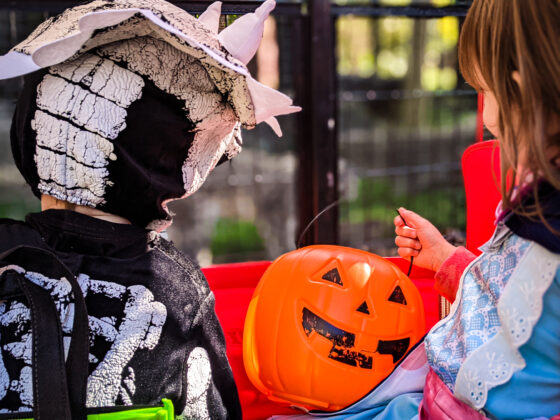 a photo of two kids wearing halloween princess, skeleton and pumpkin costumes in Potter Park Zoo.