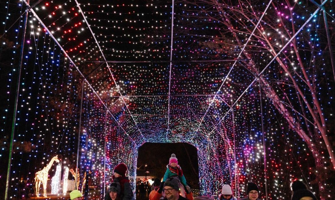 Wild Lights at the Detroit Zoo