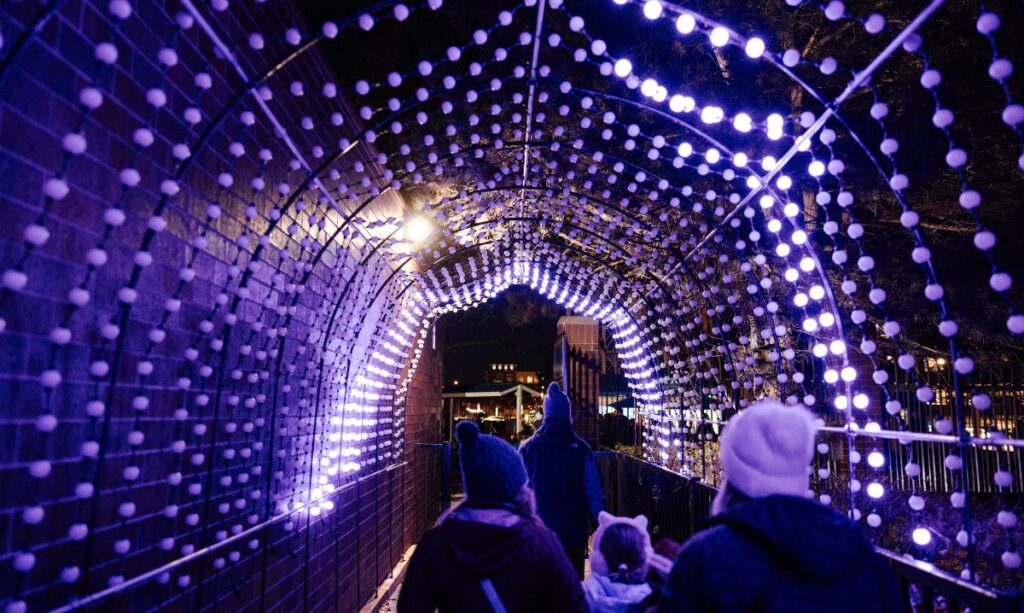 Wild Lights at the Detroit Zoo