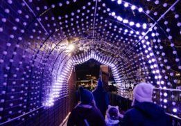 Wild Lights at the Detroit Zoo
