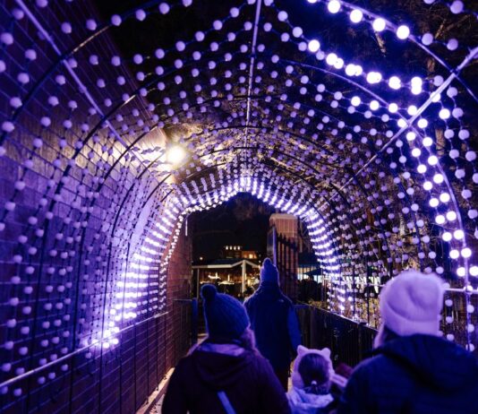 Wild Lights at the Detroit Zoo