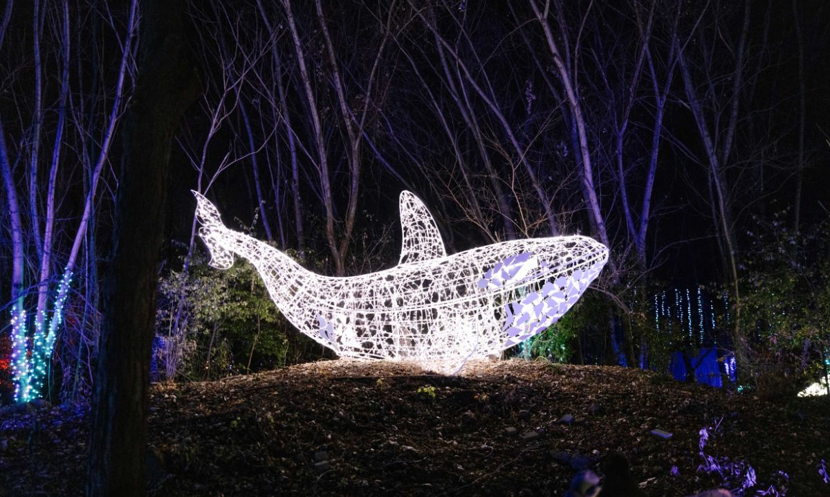 Wild Lights at the Detroit Zoo