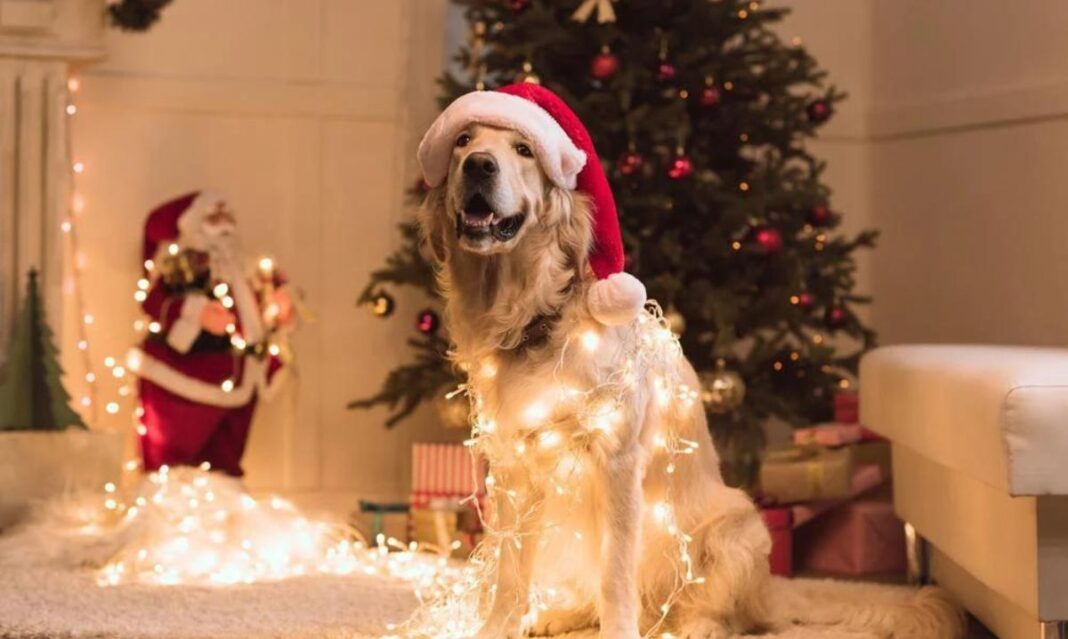 Holiday Traditions That Don't Involve Religion