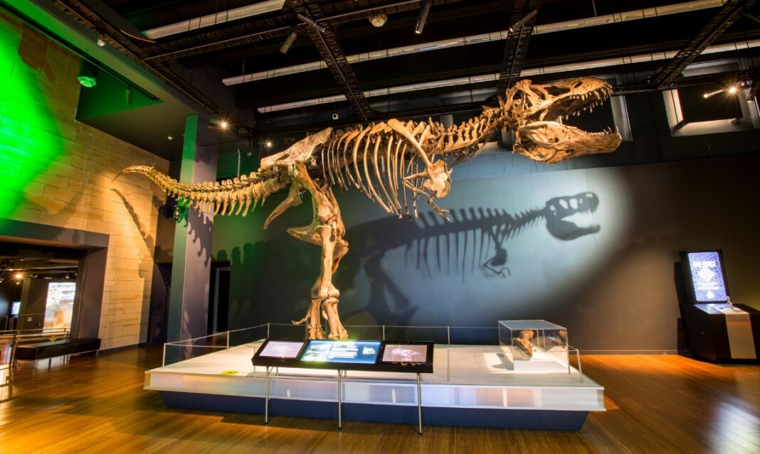 Trex exhibit mi-sci