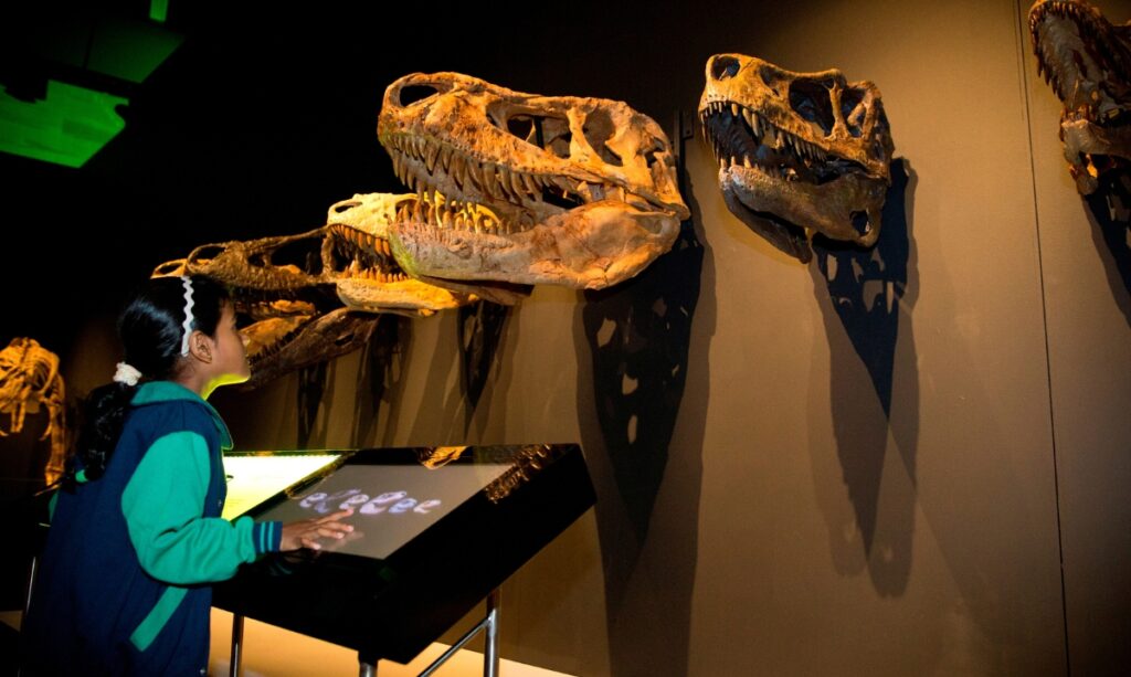 Trex exhibit mi-sci