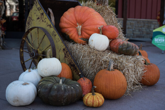 Brown County Indiana