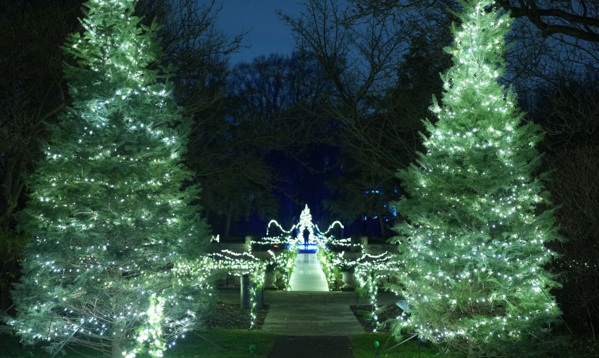 Home for the Holidays at the Ford House