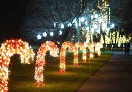Home for the Holidays at the Ford House