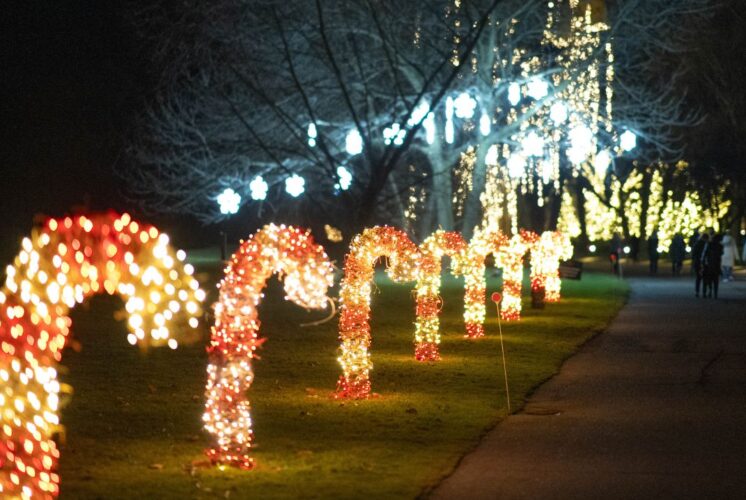 Home for the Holidays at the Ford House