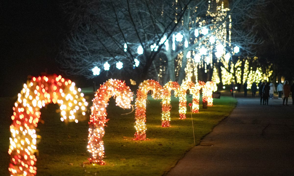Home for the Holidays at the Ford House