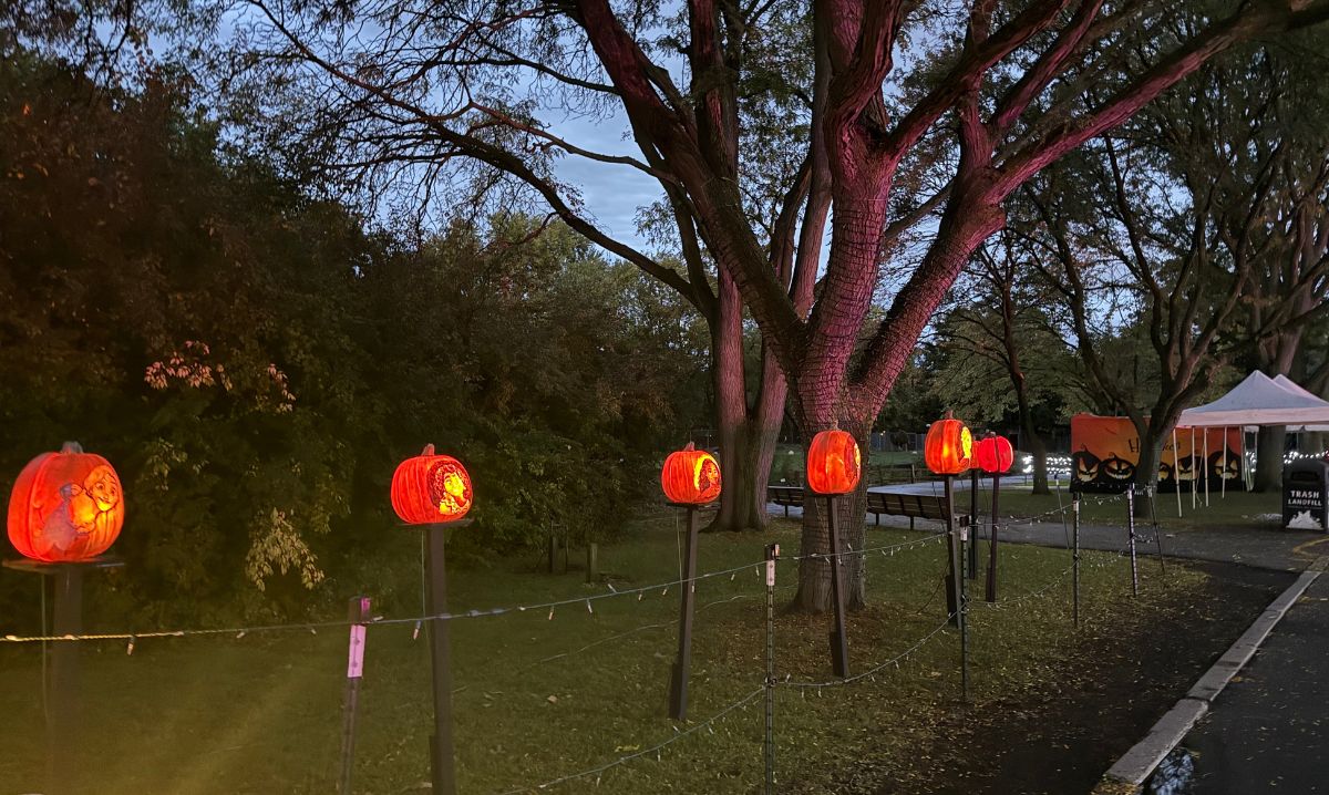 Jack O' Lantern Journey