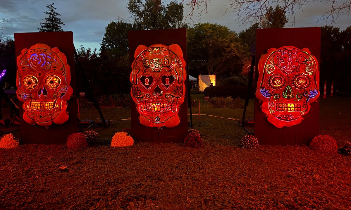 Jack O' Lantern Journey