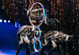 'Twas the Night Before by Cirque du Soleil