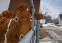 Huron-Clinton Metroparks