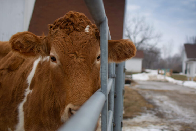 Huron-Clinton Metroparks