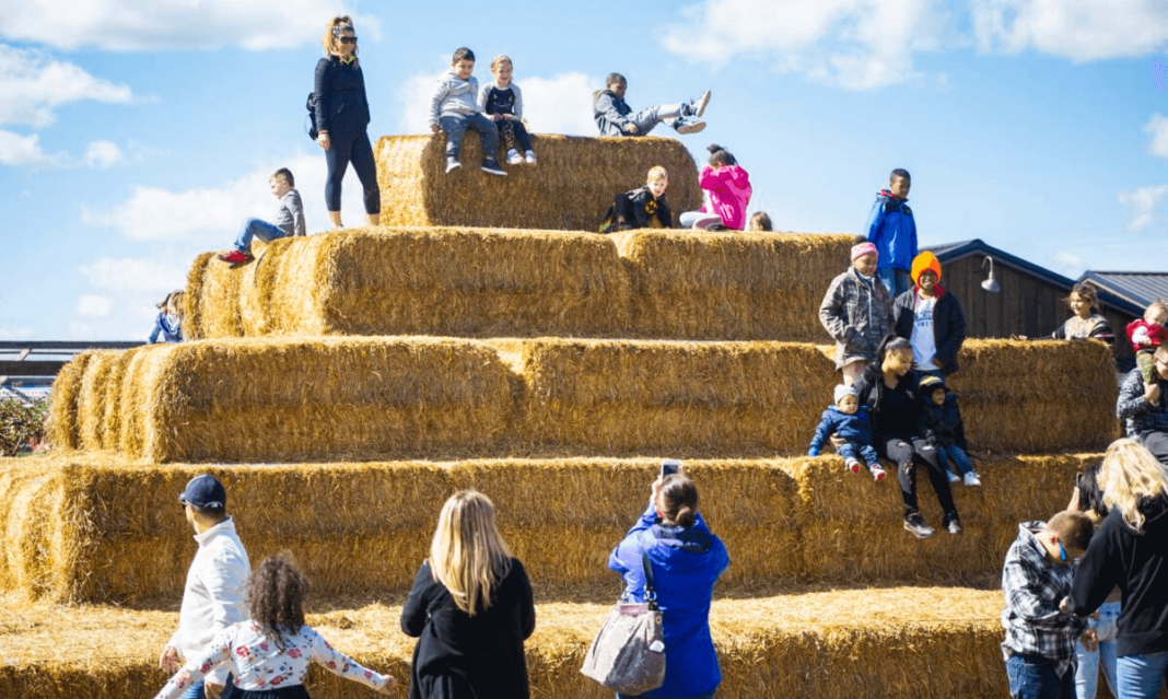 blake farms with kids