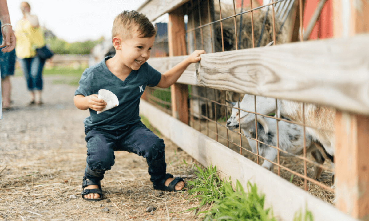 blake farms with kids