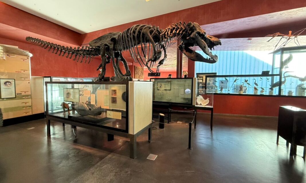 Cranbrook Institute of Science