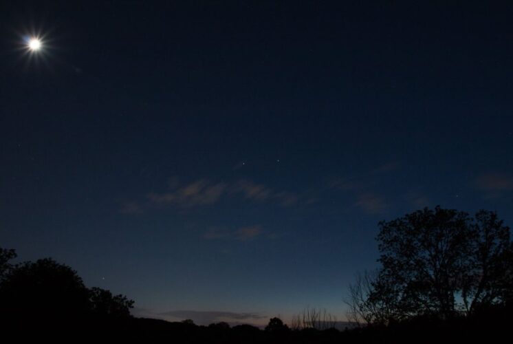 Full Moon Night Hike at Farmington Hills Nature Center