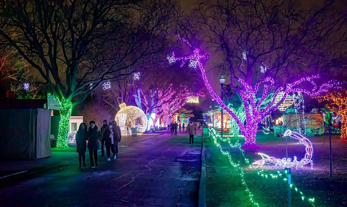 Wild Lights at the Detroit Zoo
