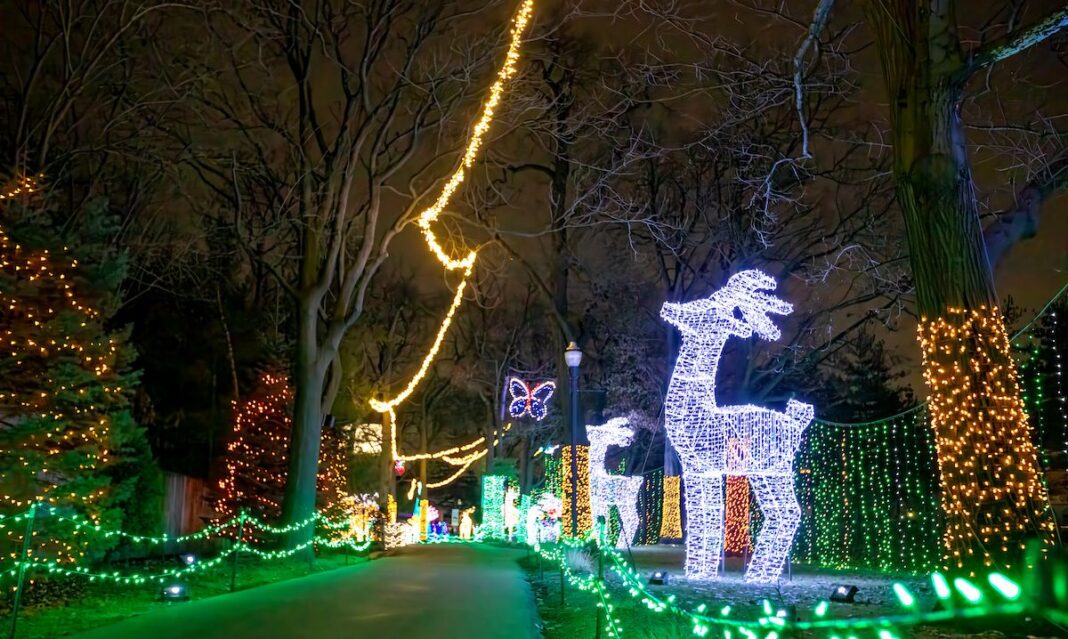 Wild Lights at the Detroit Zoo