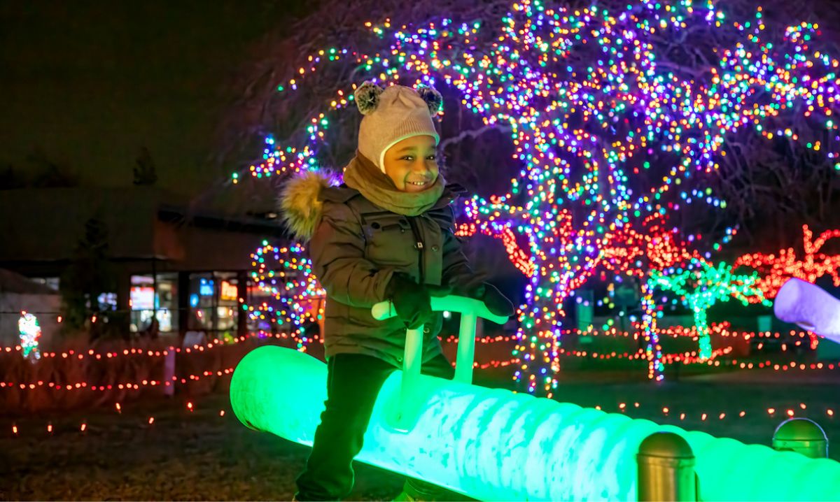 Wild Lights at the Detroit Zoo