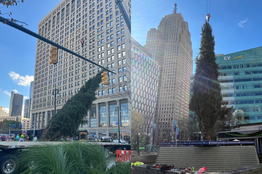 detroit tree arrival