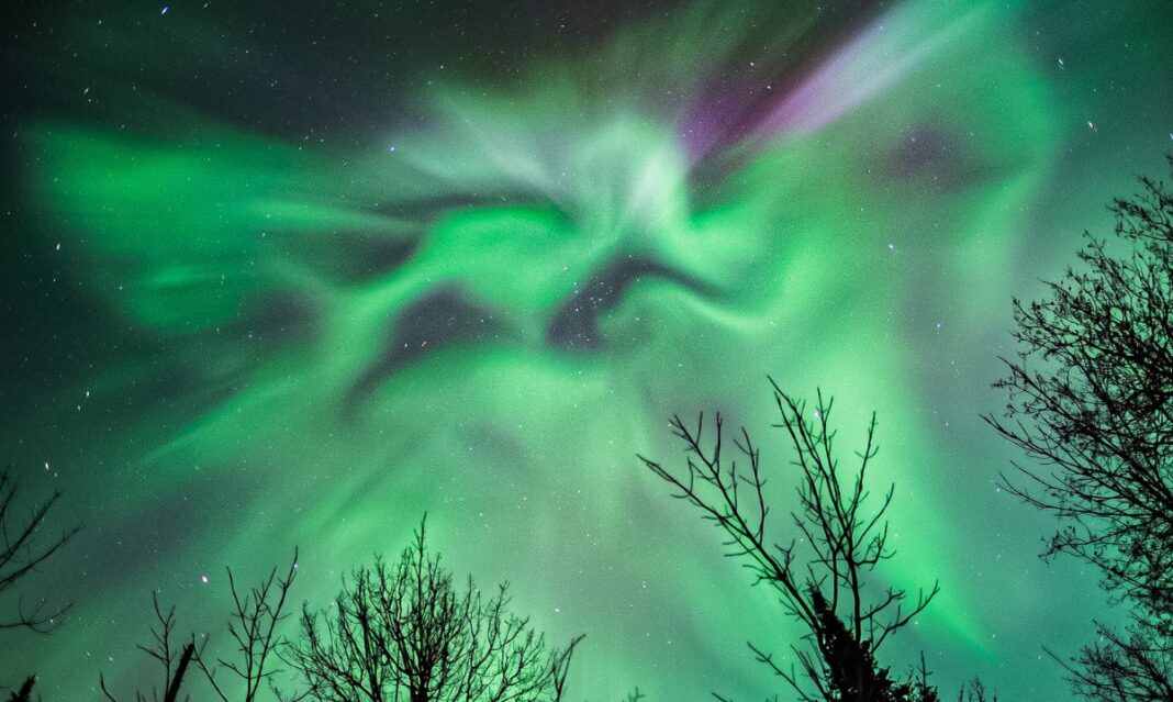 A vibrant display of green and purple Northern Lights illuminating the night sky above Keweenaw, framed by silhouettes of bare trees.