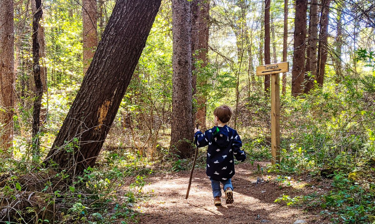 A young child explores a scenic hiking trail at Fenner Nature Center in Lansing, Michigan, walking with a stick through a lush, sunlit forest.