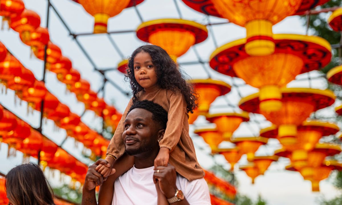 A father carries his daughter on his shoulders at the Grand Rapids Lantern Festival at John Ball Zoo, surrounded by vibrant red and gold lanterns illuminating the sky.