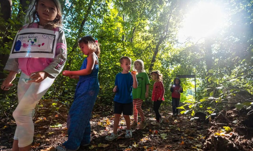 A group of children explore a sunlit forest trail during an outdoor adventure at Camp Mirage in Michigan. The nature camp experience fosters curiosity, teamwork, and hands-on learning in a fun and immersive environment.