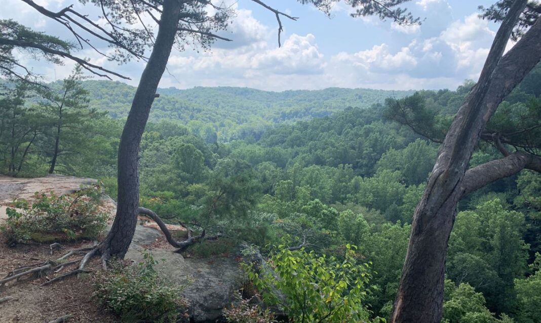A breathtaking scenic overlook at Hocking Hills, Ohio, showcasing lush green forests and rolling hills under a bright blue sky, perfect for hiking and nature lovers.