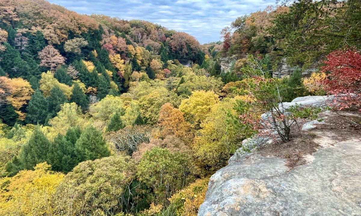 A breathtaking view from the Rim Trail in Hocking Hills, Ohio, showcasing vibrant fall foliage, towering cliffs, and a lush valley below, making it a perfect destination for hiking and nature photography.