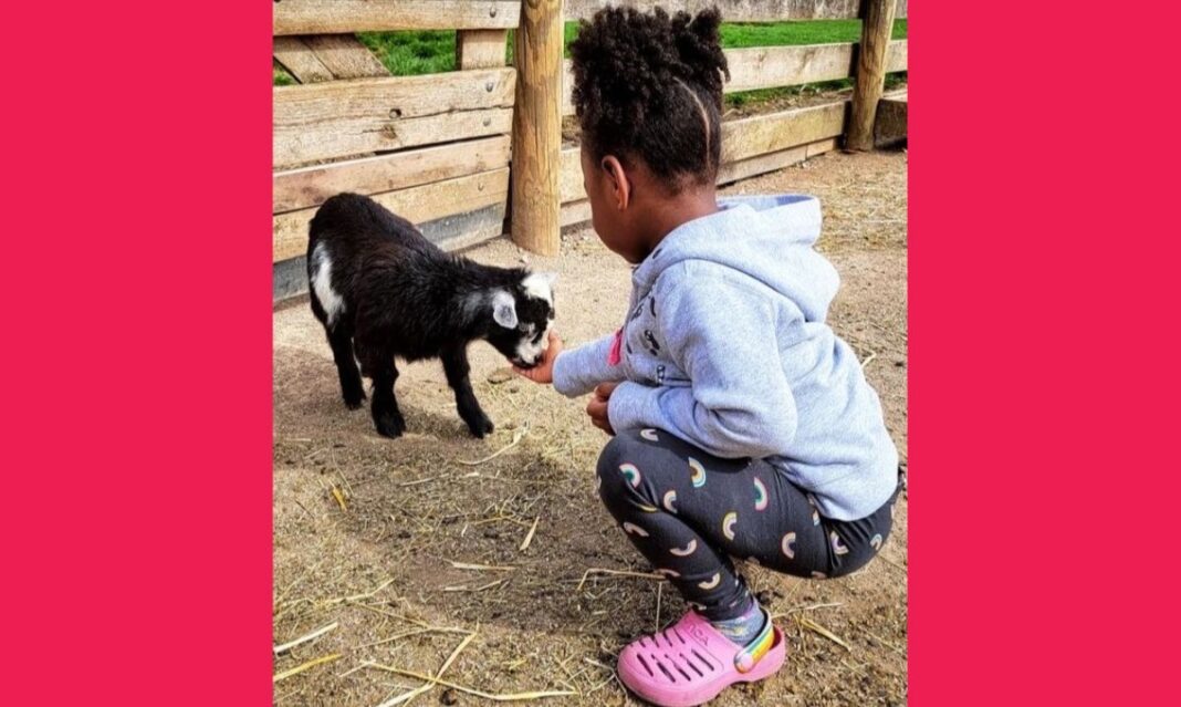 A young child feeding a baby goat at a petting zoo in Hocking Hills, Ohio, enjoying a hands-on animal experience during a family-friendly outdoor adventure.