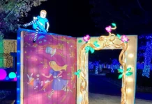 Alice in Wonderland-themed illuminated entrance at Canterbury Village Wonderland Lantern Stroll, featuring vibrant lights and whimsical characters