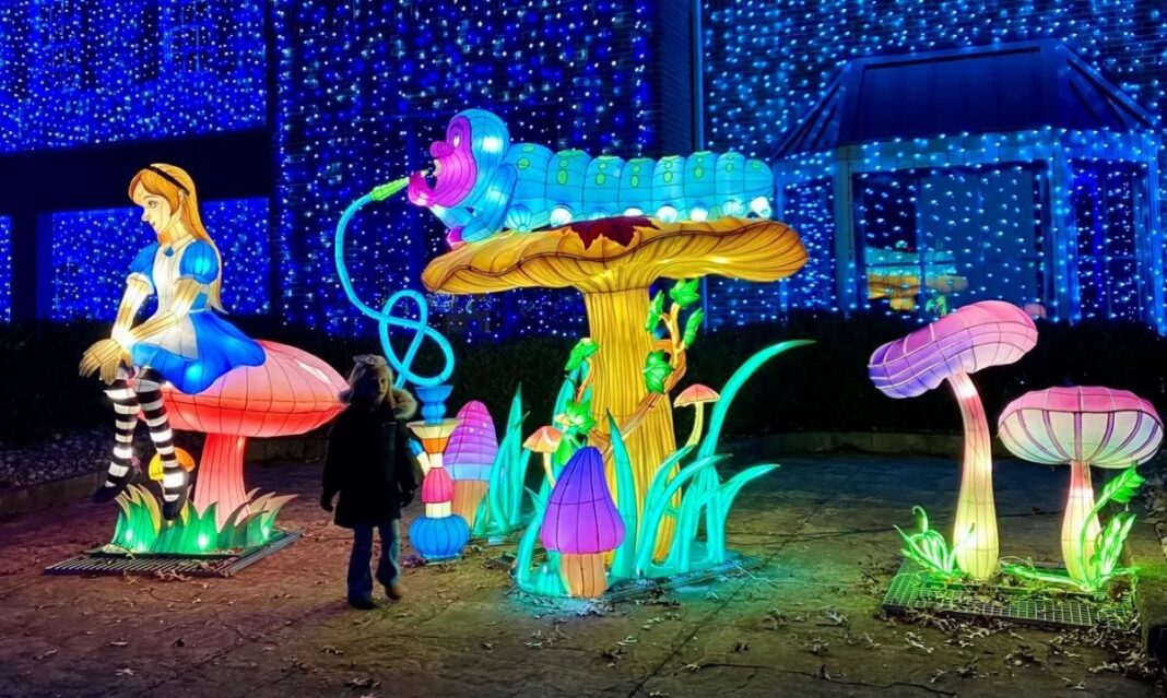 Alice and the Caterpillar glowing lantern display at Canterbury Village Wonderland Lantern Stroll in Lake Orion, Michigan