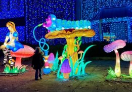 Alice and the Caterpillar glowing lantern display at Canterbury Village Wonderland Lantern Stroll in Lake Orion, Michigan"
