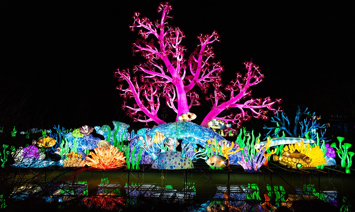 Vibrant underwater-themed light display featuring coral, tropical fish, and a glowing pink tree at Glow Wild in Fort Wayne.