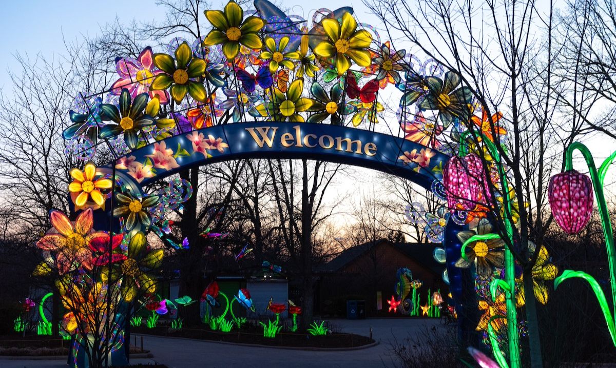 Colorful illuminated floral welcome arch at Glow Wild in Fort Wayne, featuring bright flowers, butterflies, and vibrant lights at dusk.
