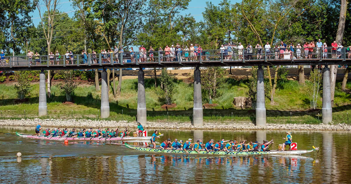 Teams racing in dragon boats while spectators watch from a bridge during one of the summer festivals in Fort Wayne, Indiana