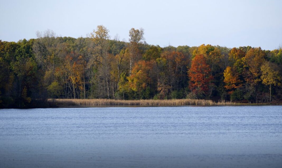 Fall Hikes Near Detroit