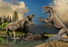 Life-size models of gorgonopsids fighting in the Permian Monsters exhibit at Cranbrook Institute of Science