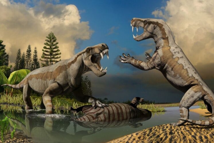 Life-size models of gorgonopsids fighting in the Permian Monsters exhibit at Cranbrook Institute of Science