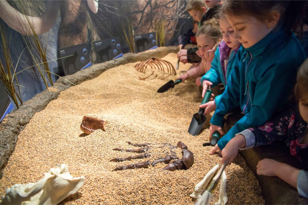 Children use shovels to uncover replica fossils in an indoor dig pit at the Bess Bower Dunn Museum in Chicago.