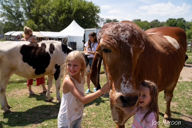 SASHA Farm