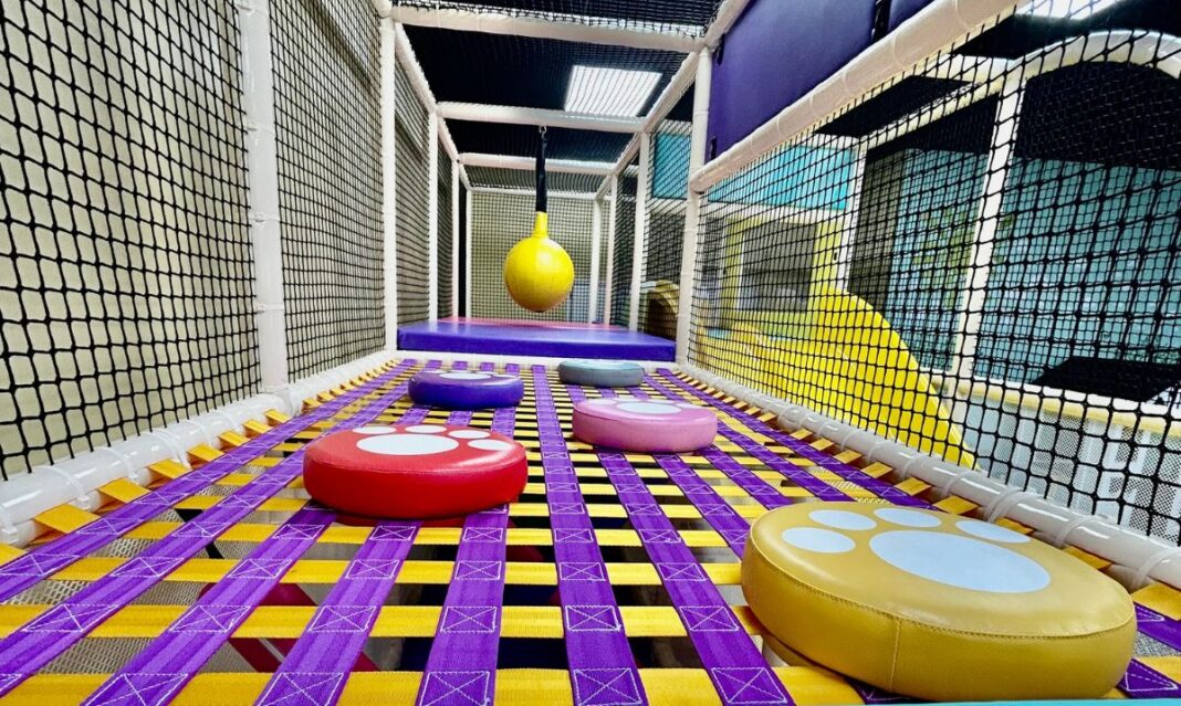 Jay and Zee Play Cafe