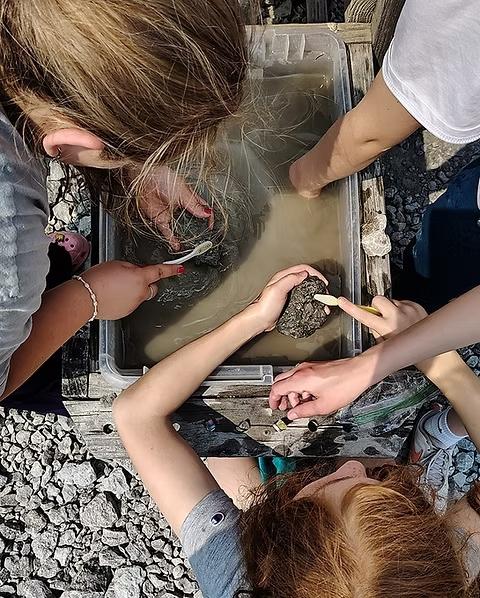 Children wash and scrub fossil rocks in a water bin during a hands-on paleontology activity at the Besser Museum in Northeast Michigan.