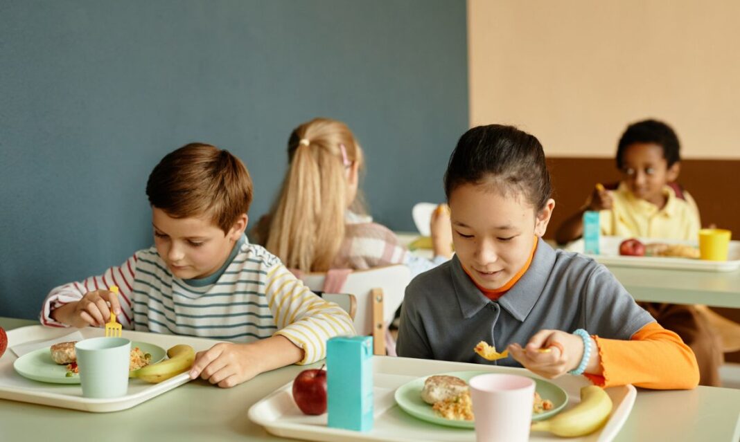 Michigan Free Lunches at Risk